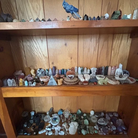 LIKE TO BE NOTIFIED WHEN I GO LIVE - Picture 5 of 12